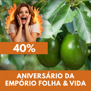 Abacate - Persea americana (folhas secas) 