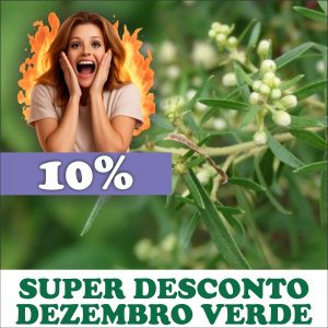 Alecrim do campo - Baccharis dracunculifolia (folhas secas)