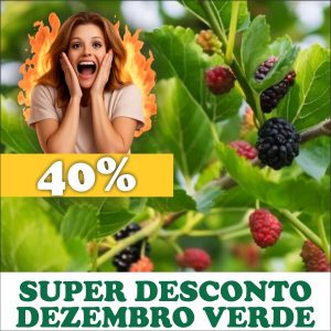 Amora - Morus nigra (folhas secas)