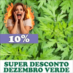 Artemísia - Artemisia vulgaris (folhas secas)