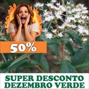 Assa-peixe - Vernonia polyanthes (folhas secas)