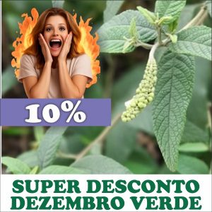 Erva-baleeira - Cordia verbenacea (folhas secas)