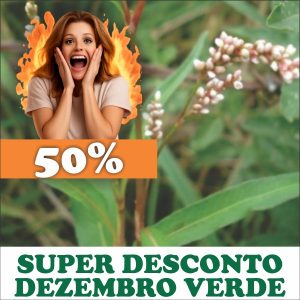 Erva-de-bicho - Polygonum hydropiperoides (folhas secas)