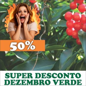 Café-de-bugre - Cordia ecalyculata (folhas secas)