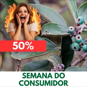 Canela-de-velho - Miconia albicans (folhas secas)