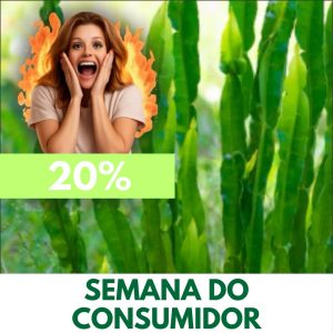 Carqueja - Baccharis trimera (folhas secas)