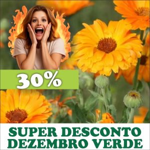 Calêndula - Calendula officinalis (flores secas)