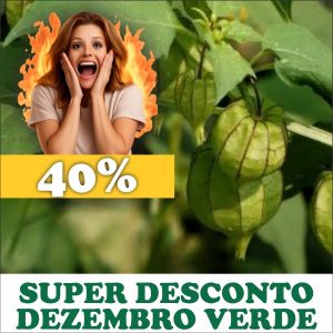 Camapú - Physalis angulata (folhas secas)