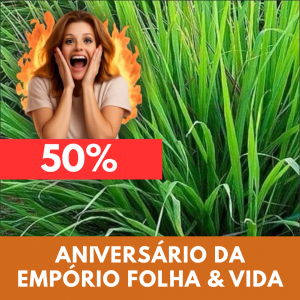 Capim cidreira - Cymbopogon citratus (folhas secas)