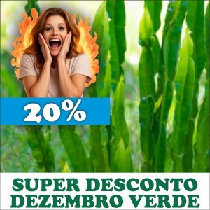 Carqueja - Baccharis trimera (folhas secas)