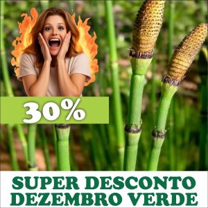 Cavalinha - Equisetum giganteum (folhas secas)