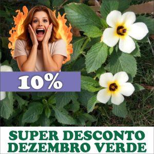 Chanana - Turnera subulata (folhas secas)