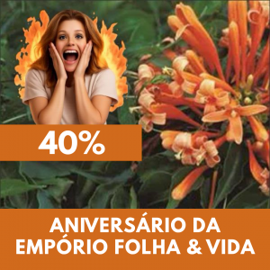 Cipó-de-São-João - Pyrostegia venusta (flores secas)