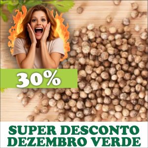 Semente de Coentro - Coriandrum sativum