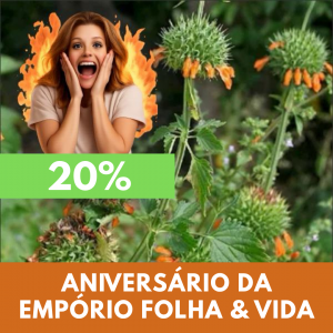Cordão-de-Frade - Leonotis nepetaefolia (folhas secas)