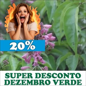 Crajirú / Pariri / Cipó-cruz - Arrabidaea chica (folhas secas)