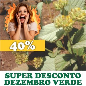 Douradinha - Waltheria douradinha (folhas secas)