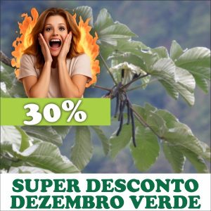 Embaúba - Cecropia sp. (folhas secas)