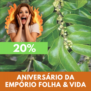 Espinheira-santa - Maytenus ilicifólia (folhas secas)