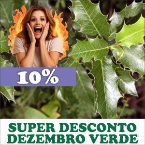 Espinheira-santa - Maytenus ilicifólia (folhas secas)