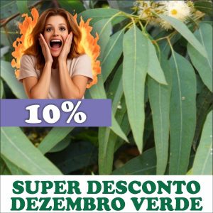 Eucalipto - Eucaliptus sp. (folhas secas)