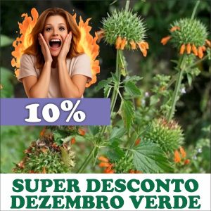 Cordão-de-Frade - Leonotis nepetaefolia (folhas secas)