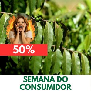 Guaçatonga - Casearia sylvestris (folhas secas)