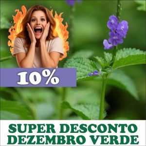 Gervão - Stachytarpheta cayennensis (folhas secas)