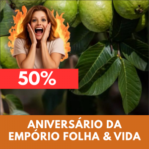 Goiaba - Psidium guajava (folhas secas)