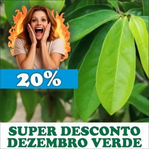 Graviola - Anonna muricata (folhas secas)