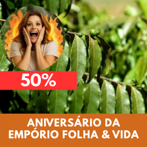 Guaçatonga - Casearia sylvestris (folhas secas)