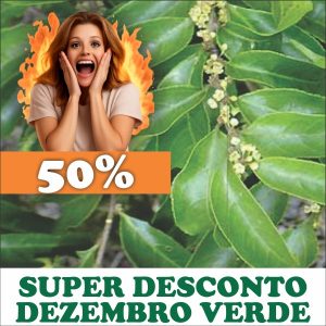 Guaçatonga - Casearia sylvestris (folhas secas)