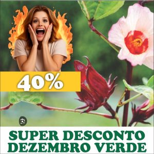 Hibisco - Hibiscus sabdariffa (flores secas)