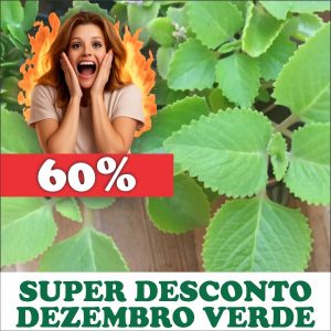 Hortelã gordo - Plectranthus amboinicus (folhas secas)