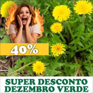 Dente-de-leão - Taraxacum officinale (folhas secas)