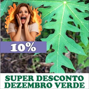 Mamoeiro - Carica papaya (folhas secas)