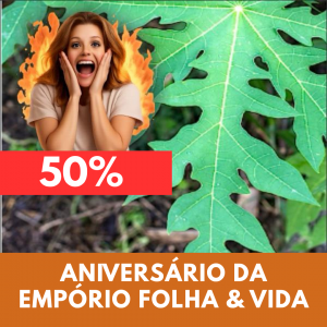 Mamoeiro - Carica papaya (folhas secas)