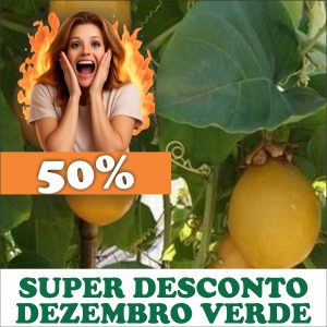 Maracujá - Passiflora alata (folhas secas)