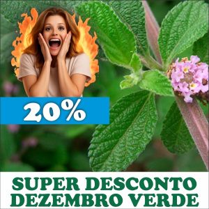 Melissa - Lippia alba (folhas secas)