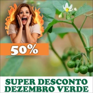 Erva-moura / Maria-pretinha - Solanum americanum / Solanum nigrum (folhas secas)