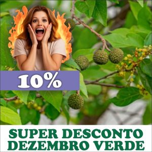 Mutamba - Guazuma ulmifolia (folhas secas)