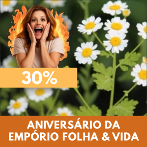 Olguinha - Tanacetum parthenium (folhas secas)