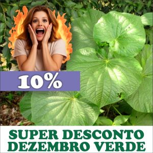 Pariparoba - Piper umbellatum / Potomorphe umbellata (folhas secas)