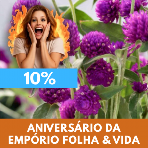 Perpétua - Gomphrena globosa (flores secas)