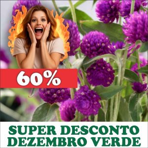Perpétua - Gomphrena globosa (flores secas)