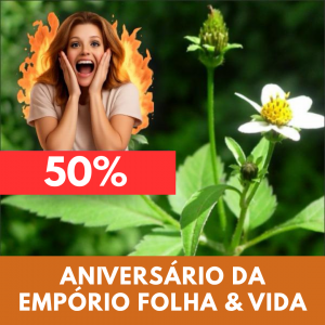 Picão-preto - Bidens alba / Bidens pilosa (folhas secas)