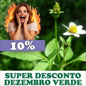 Picão-preto - Bidens alba / Bidens pilosa (folhas secas)