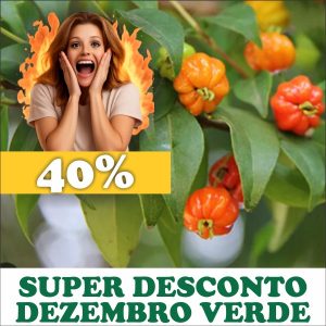 Pitanga - Eugenia uniflora (folhas secas)