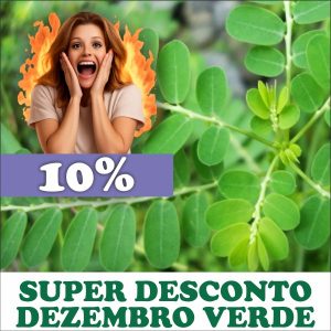 Quebra-pedra - Phyllanthus sp. (folhas secas)