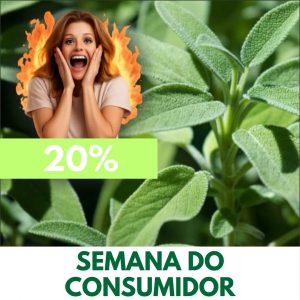 Sálvia - Salvia officinalis (folhas secas)